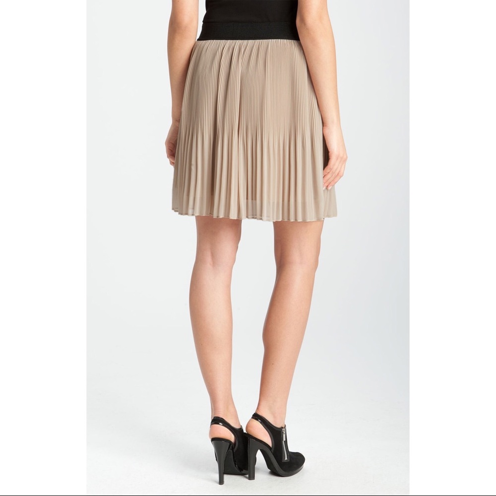 Pleione Micro Pleat Skirt
